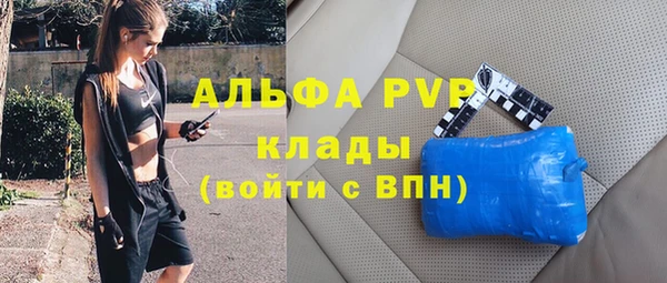амф Беломорск