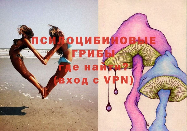 амф Беломорск