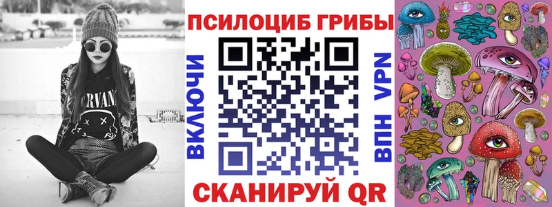 Купить закладки  Перевоз  Галлюциногенные грибы Psilocybine cubensis 