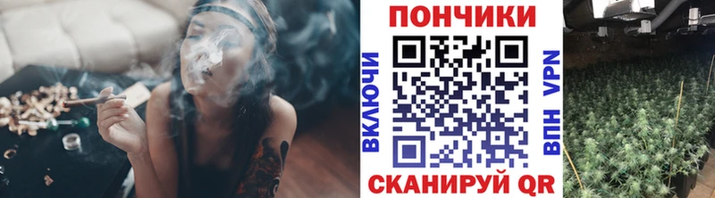 Шишки марихуана конопля  Купить где  Перевоз 